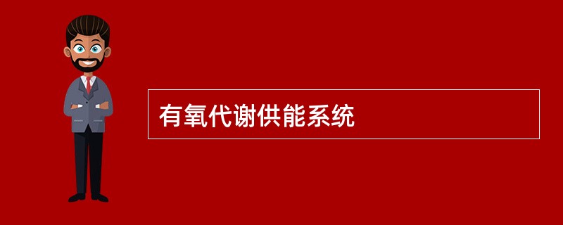 有氧代谢供能系统