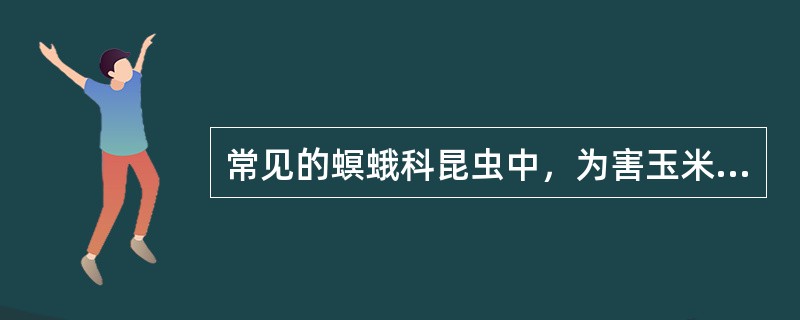 常见的螟蛾科昆虫中，为害玉米的是（），为害水稻的是（）。