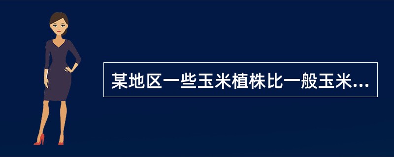 某地区一些玉米植株比一般玉米植株早熟、生长整齐而健壮，果穗大、籽粒多，这些植株可