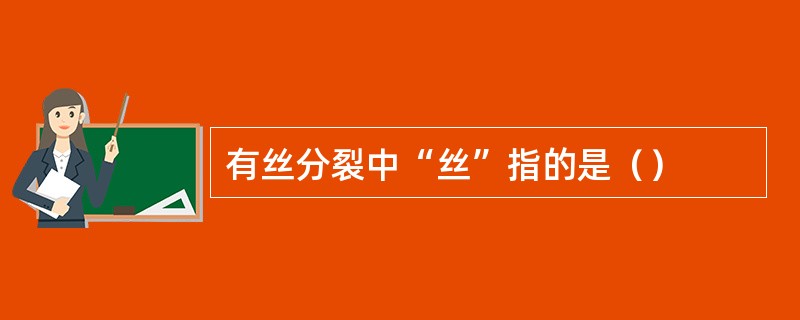 有丝分裂中“丝”指的是（）