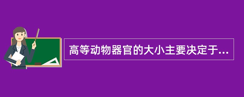 高等动物器官的大小主要决定于（）