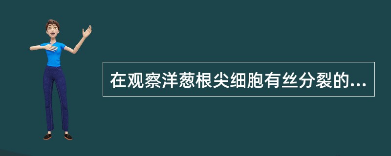 在观察洋葱根尖细胞有丝分裂的过程中，你观察时，处于哪一个时期的细胞最多（）