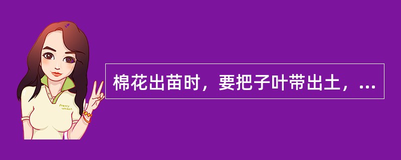 棉花出苗时，要把子叶带出土，所以播种时必须浅播。