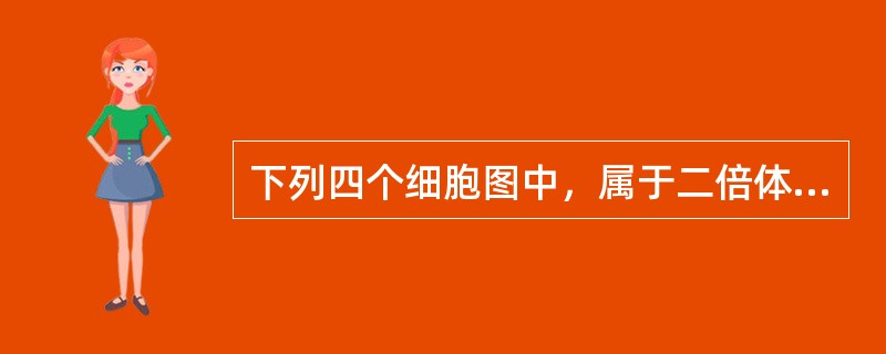 下列四个细胞图中，属于二倍体生物精子细胞的是（）