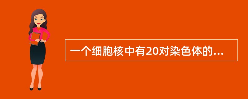 一个细胞核中有20对染色体的细胞，它连续进行了5次有丝分裂后，产生的子细胞中还有