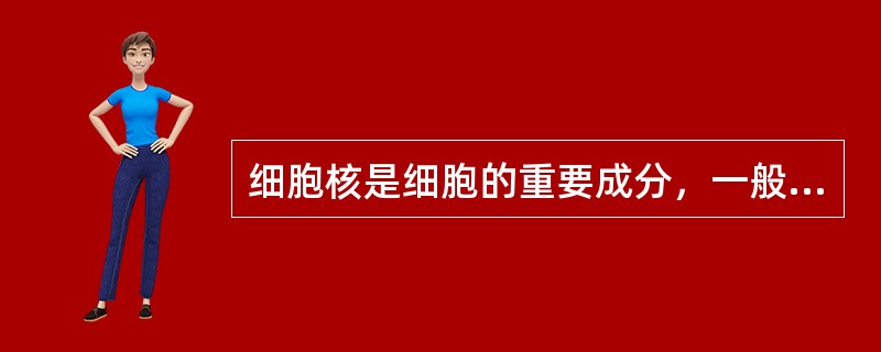 细胞核是细胞的重要成分，一般细胞里有两个细胞核。