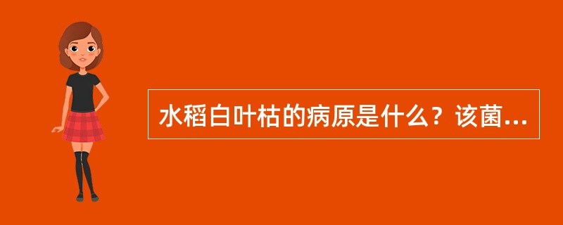 水稻白叶枯的病原是什么？该菌是否可以进行人工培养？