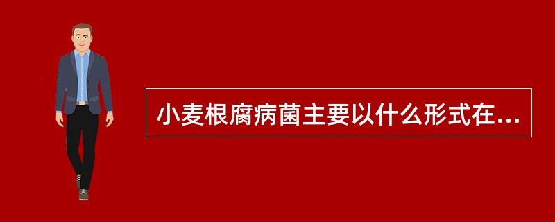 小麦根腐病菌主要以什么形式在那些场所越冬或越夏？