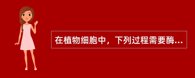 在植物细胞中，下列过程需要酶参与的是（）