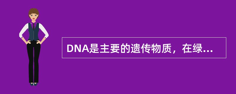 DNA是主要的遗传物质，在绿色植物的叶肉细胞内，它分布在（）