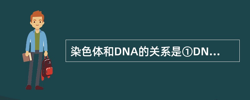 染色体和DNA的关系是①DNA位于染色体上②染色体就是DNA③DNA是染色体的主