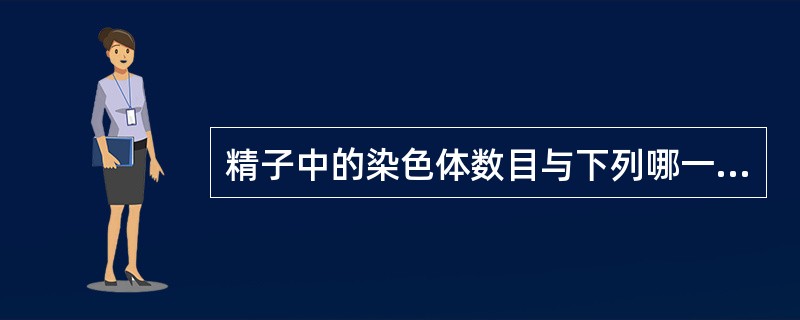 精子中的染色体数目与下列哪一项的染色体数目相同（）