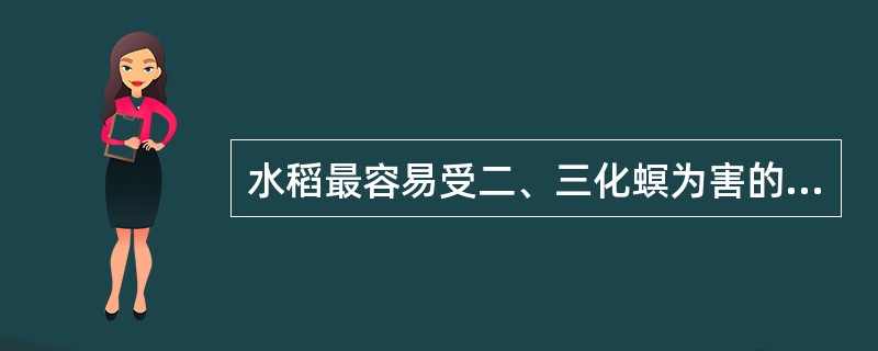 水稻最容易受二、三化螟为害的是（）和（）。