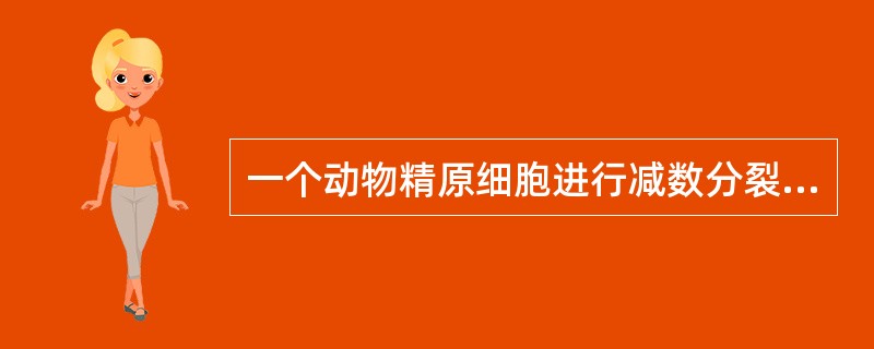 一个动物精原细胞进行减数分裂时可形成4个四分体，则精细胞的染色体、染色单体、DN
