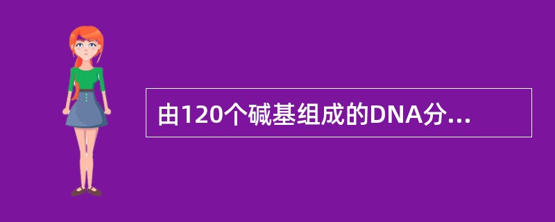 由120个碱基组成的DNA分子片段，可因其碱基对组成和序列的不同而携带不同的遗传