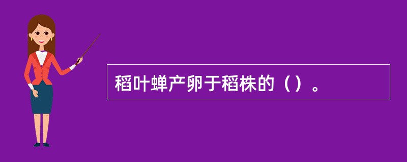 稻叶蝉产卵于稻株的（）。