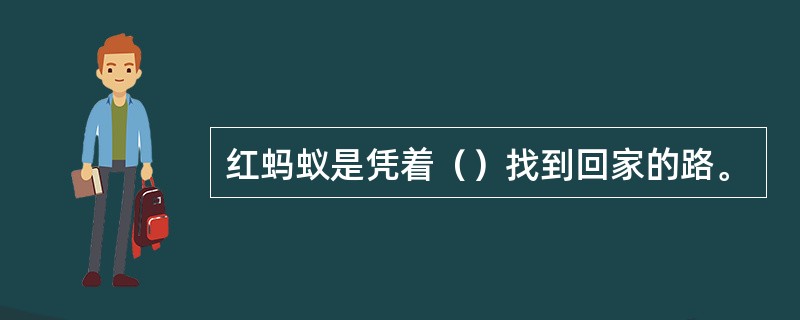 红蚂蚁是凭着（）找到回家的路。