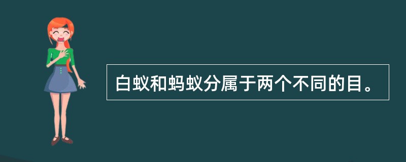 白蚁和蚂蚁分属于两个不同的目。