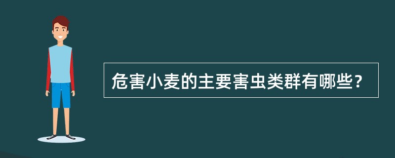 危害小麦的主要害虫类群有哪些？