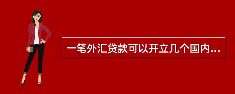 一笔外汇贷款可以开立几个国内外汇贷款公用账户？
