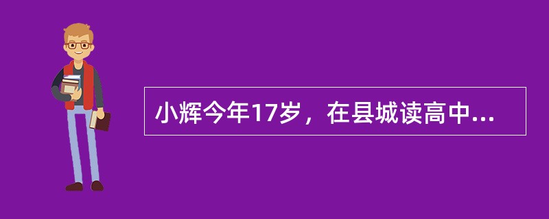 小辉今年17岁，在县城读高中，家住的小镇离高速公路很近，水路交通也很发达。他在县