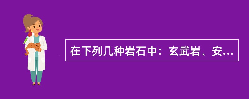 在下列几种岩石中：玄武岩、安山岩、花岗闪长岩、砂岩、页岩、片麻岩、石灰岩、石英岩