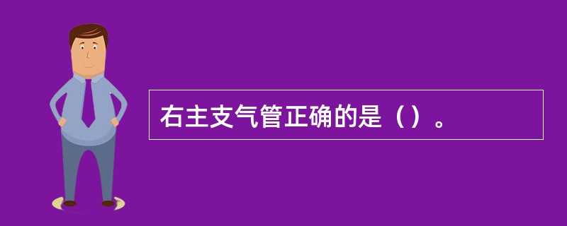 右主支气管正确的是（）。