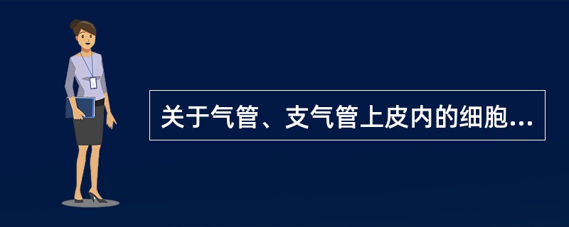 关于气管、支气管上皮内的细胞描述，哪一项错误？（）