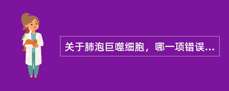 关于肺泡巨噬细胞，哪一项错误？（）