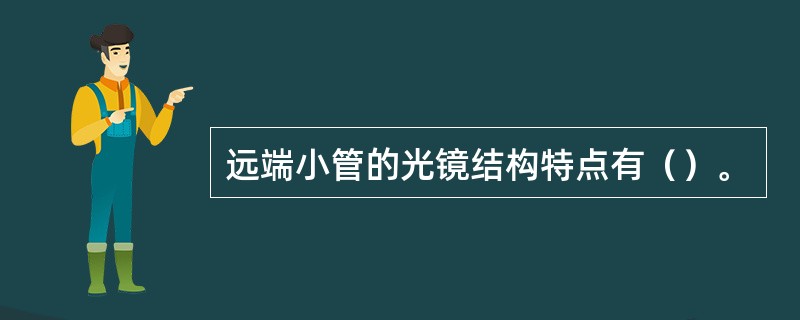 远端小管的光镜结构特点有（）。