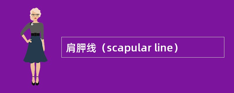 肩胛线（scapular line）