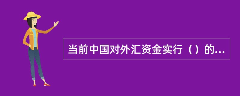 当前中国对外汇资金实行（）的管理原则。