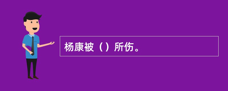 杨康被（）所伤。