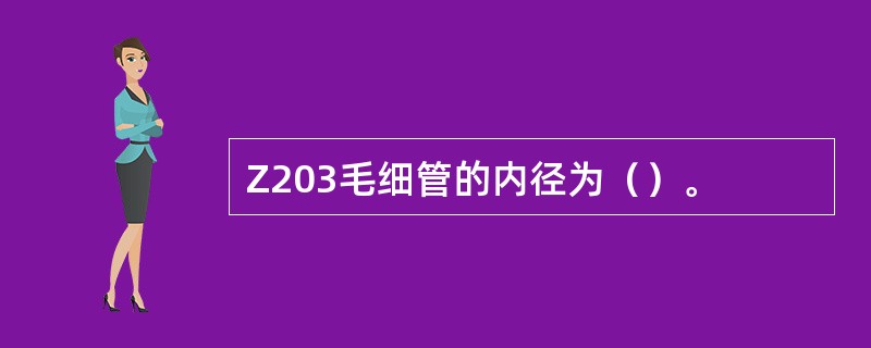 Z203毛细管的内径为（）。