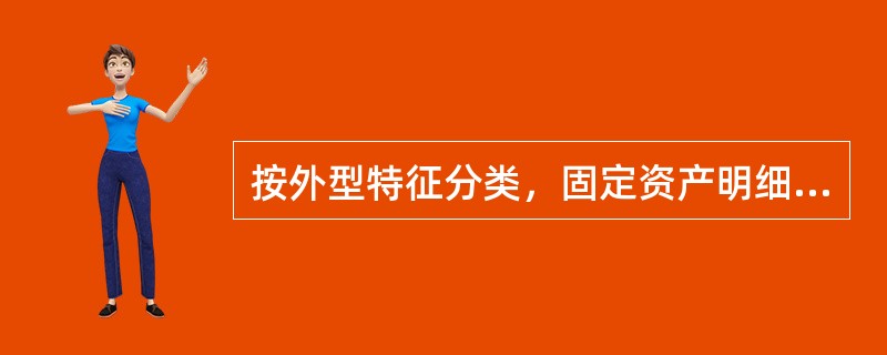 按外型特征分类，固定资产明细账应采用()