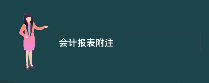 会计报表附注