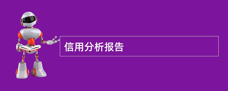 信用分析报告