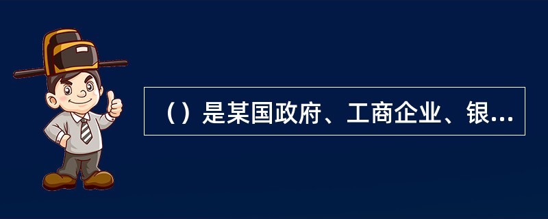 （）是某国政府、工商企业、银行及其他金融机构，以及国际机构（主要是国际金融机构）