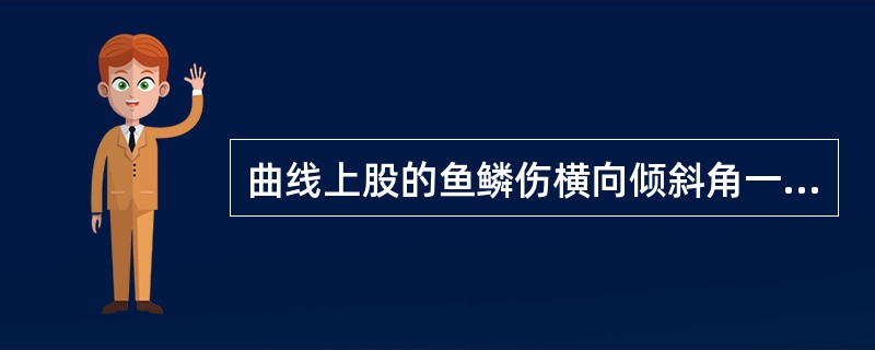 曲线上股的鱼鳞伤横向倾斜角一般为15°～25°。