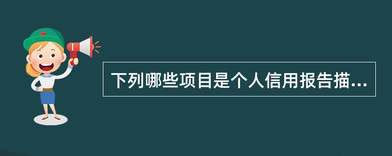 下列哪些项目是个人信用报告描述贷款逾期情况的？（）