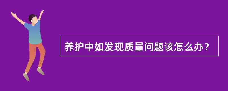 养护中如发现质量问题该怎么办？