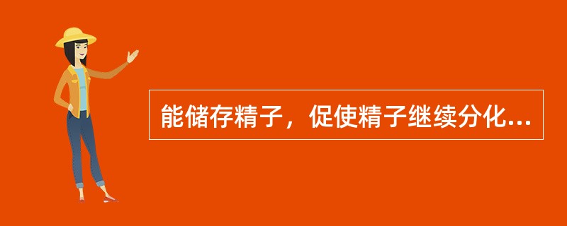 能储存精子，促使精子继续分化成熟的器官是（）。