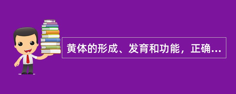 黄体的形成、发育和功能，正确的是（）。