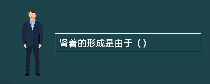 肾着的形成是由于（）