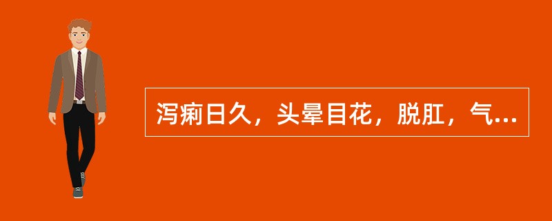 泻痢日久，头晕目花，脱肛，气短疲乏，脘腹坠胀，其临床意义是（）。