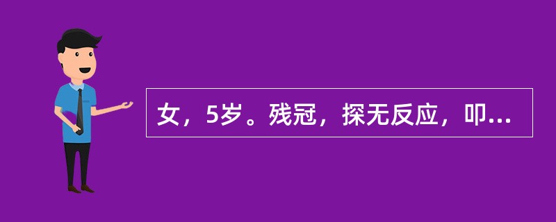 女，5岁。残冠，探无反应，叩（+），唇侧牙龈瘘管。松动Ⅱ°。X线片示l发育正常。