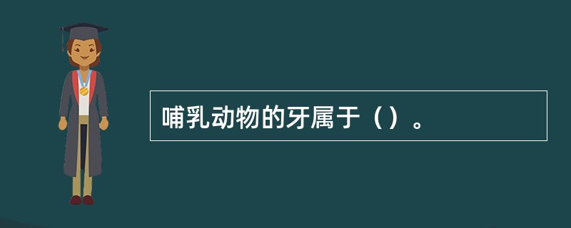 哺乳动物的牙属于（）。