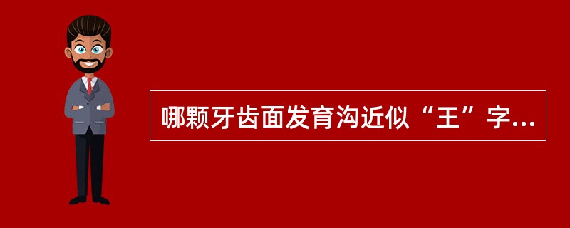 哪颗牙齿面发育沟近似“王”字形（）。