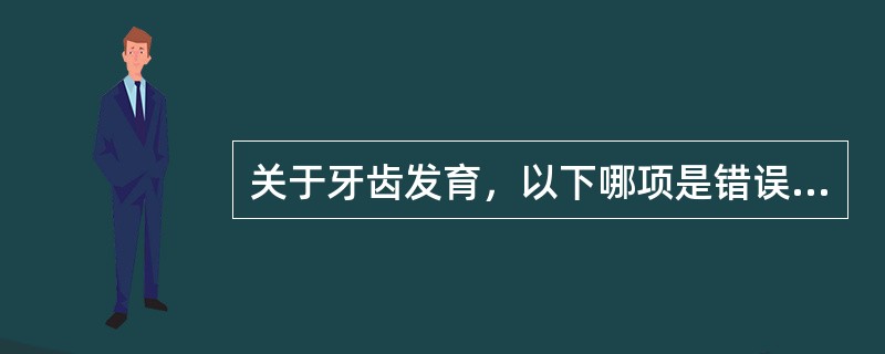 关于牙齿发育，以下哪项是错误的（）。