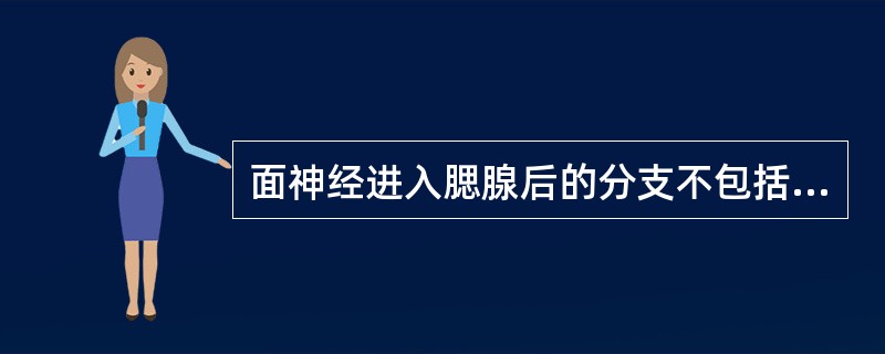 面神经进入腮腺后的分支不包括（）。